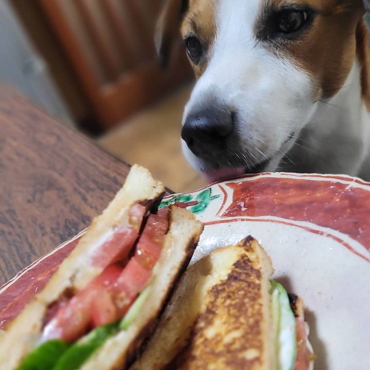 215dc284 5b32 4f46 bd88 2c1a76d93d24 1687837136968