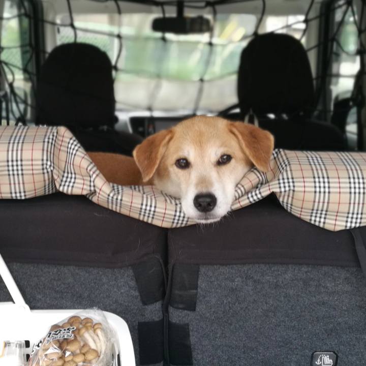 215deeb8 cc40 40e3 91f5 b8cbf8810149 1568342984857