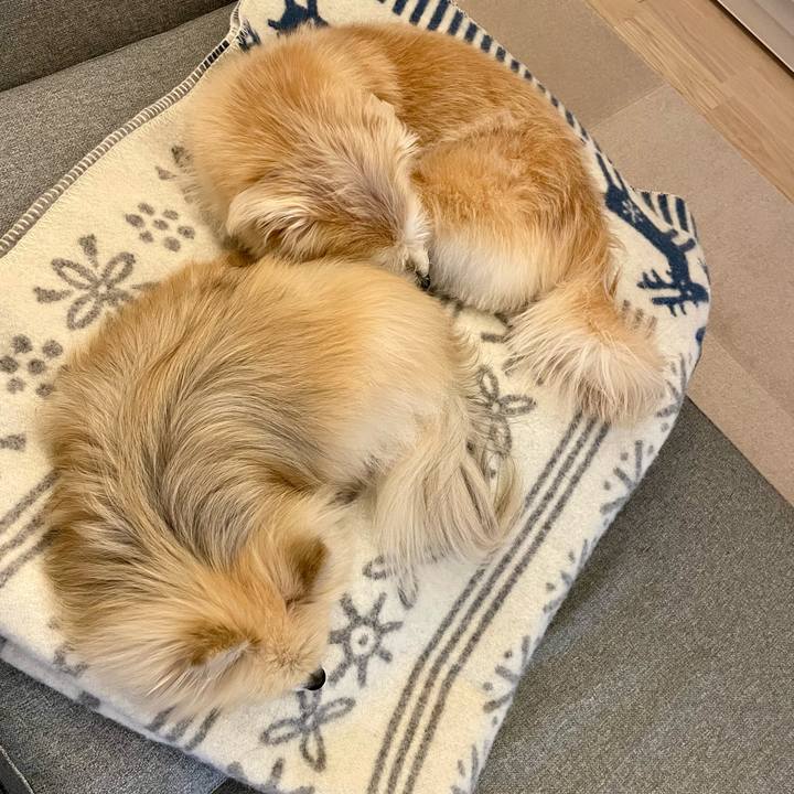 215df2ee 1cc1 4c9f b5a8 a65b349f6898 1763892541843