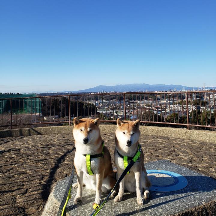 215e6109 9fea 4899 9c47 4919d320abc6 1611113834888