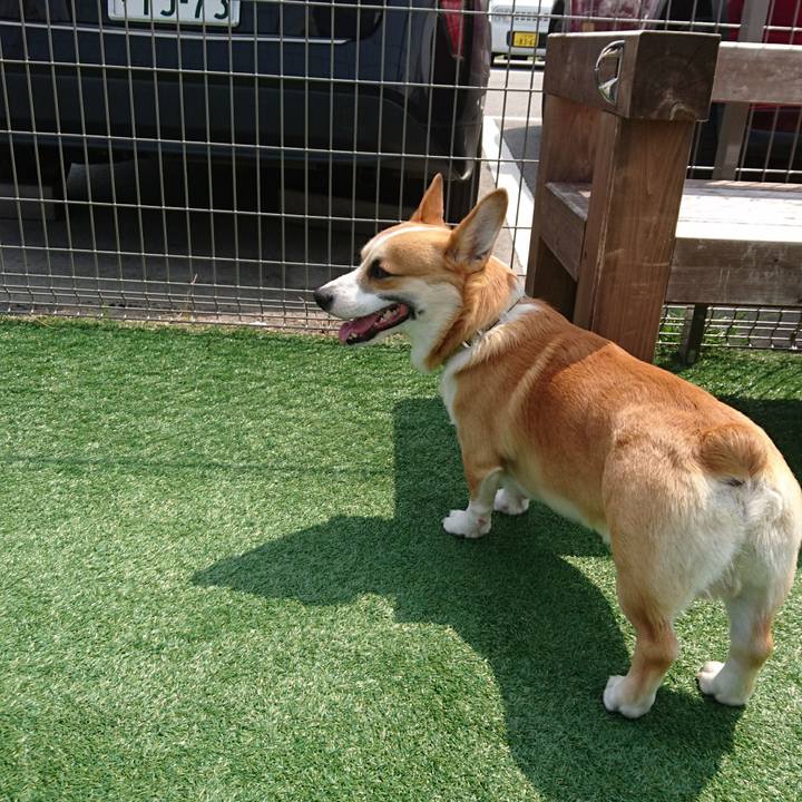 215e8efc c5e6 4f5b 888b a5639012b692 1585897914342