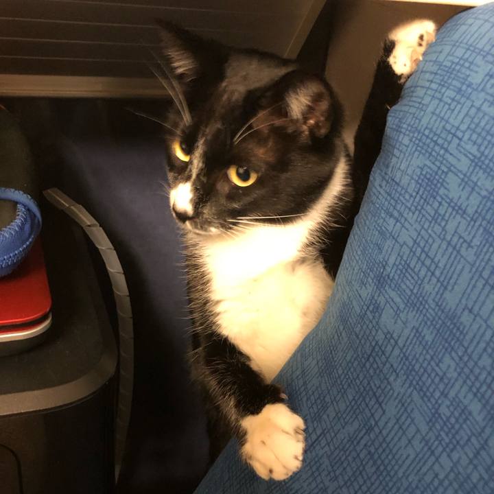 215eb0d5 efb1 46b9 81d7 e20c942ff179 1543070076552