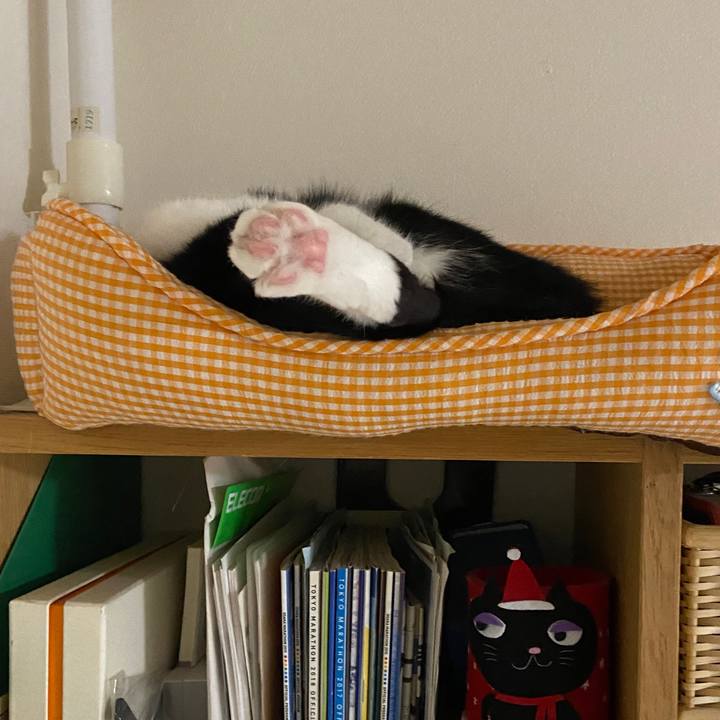 215eb6bb 72ee 423f 8b5d 70249347e0ba 1666500964013