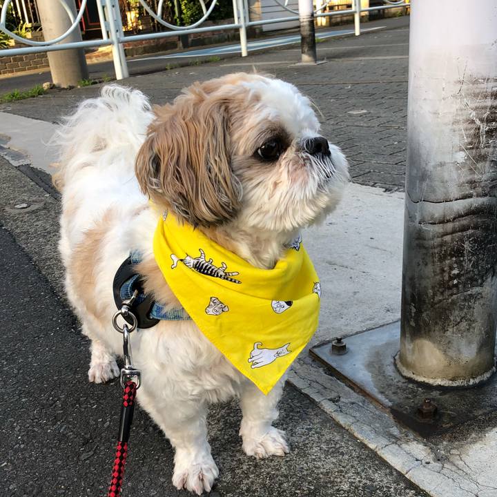 215ed557 120f 431a b55d 9de81b5267f9 1565572025534