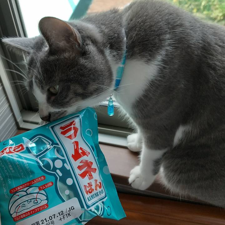 215ef965 5235 43ff 9f54 5c5785c187b1 1625895323838