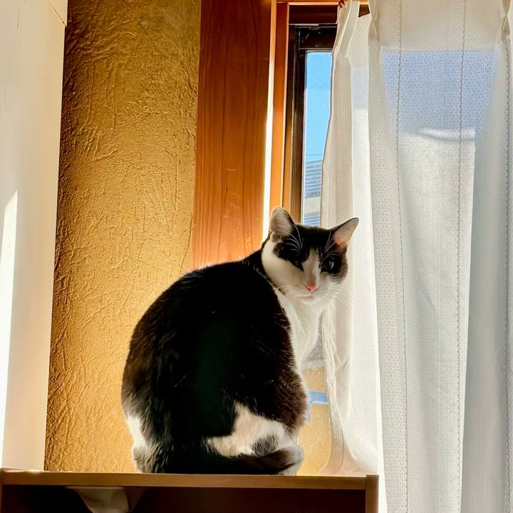 215f117a 17a9 4171 b75e ade4f51b4e0c 1674439988026