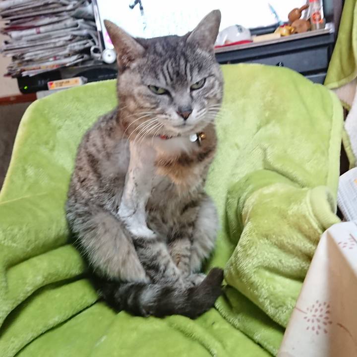 215f2eb2 be9b 4fe6 8e56 372c6a8bb9e1 1587790564274