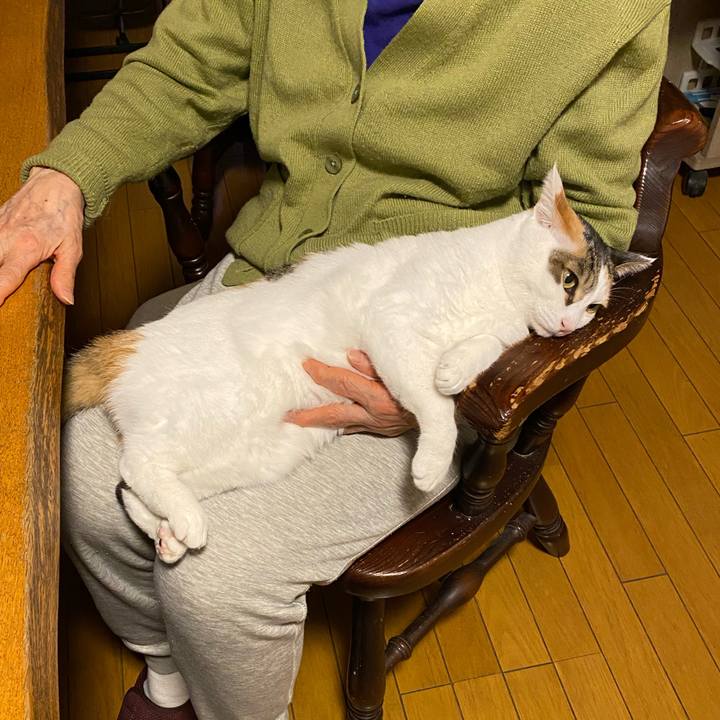 215f5073 db7c 48e0 93d3 1a6e45853db5 1770625548343