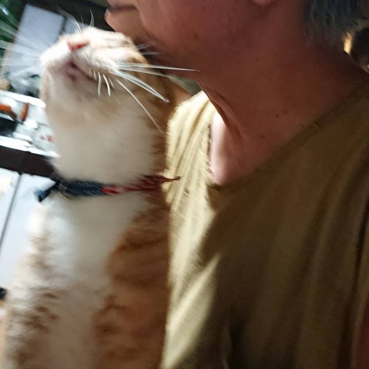 215f620e cbbe 48a3 b884 a81649b6affc 1598558354550