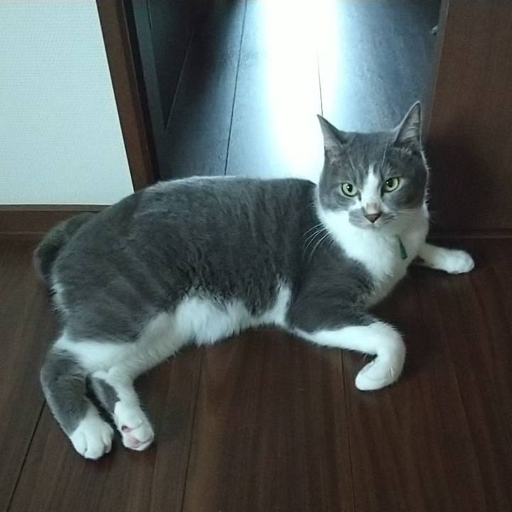 215f871a 3580 4005 b3ea 23a901b6ca45 1630190092583