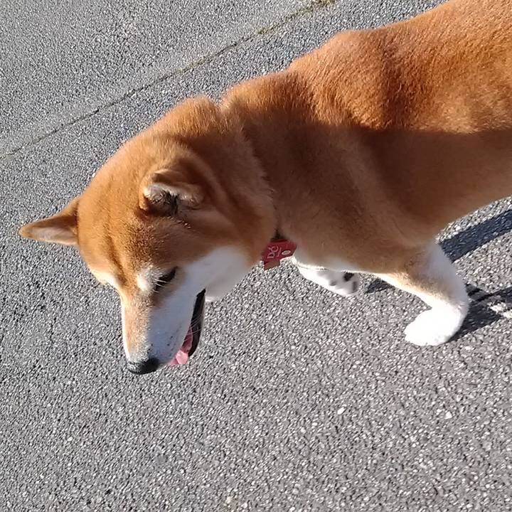 215f95b6 e9b4 40fb 9d35 e77130ffc4bb 1596412752693