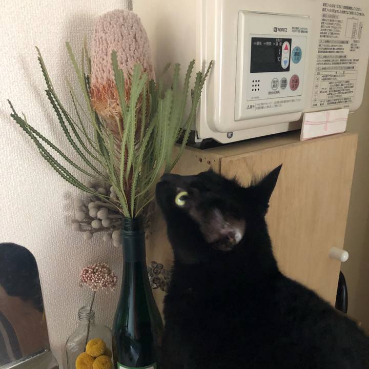 215fb2c7 c95f 49bd 88ef e71955f868a2 1562937258952