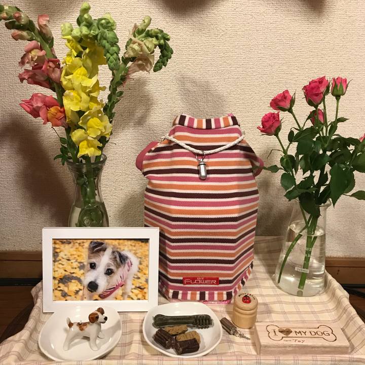 215fcc6d e607 43fc 88f2 7e80351ff8d7 1516504750017