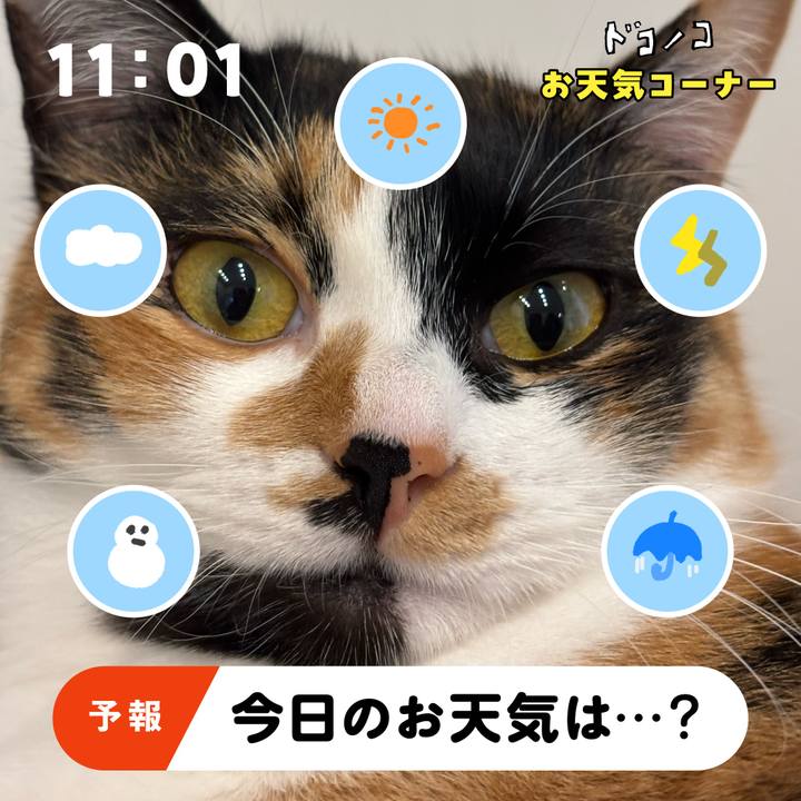 215fd431 e6c0 43b7 8af9 c7f3b9cc656e 1781685498013