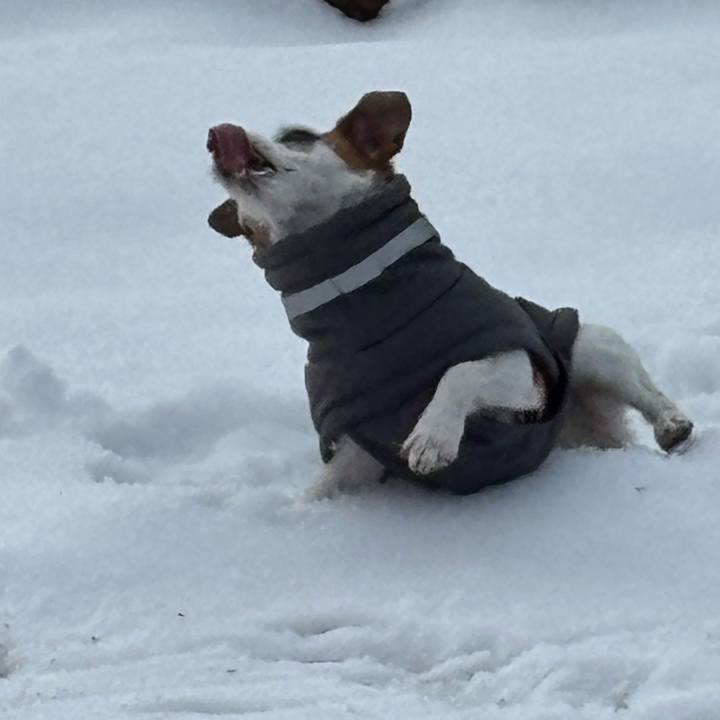 215fe09e b9a5 4d1b 852e bd1c8b0f3d57 1767494144071