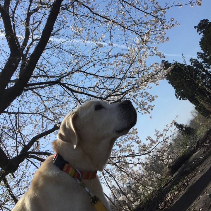 215fee53 d9cf 49ad a304 80aa2ed4f665 1523330208995