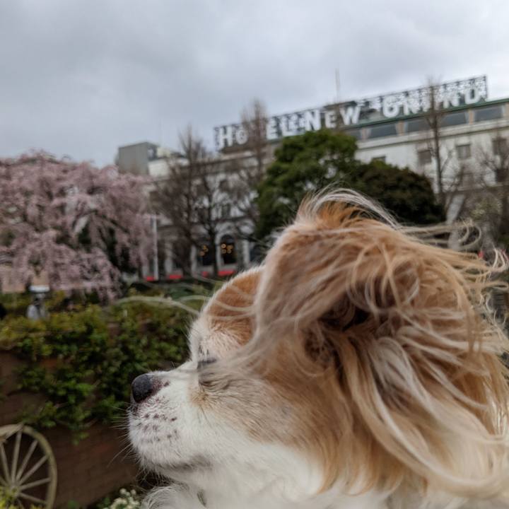 21601265 7a65 4cf9 9e17 449c388478f8 1648303519453