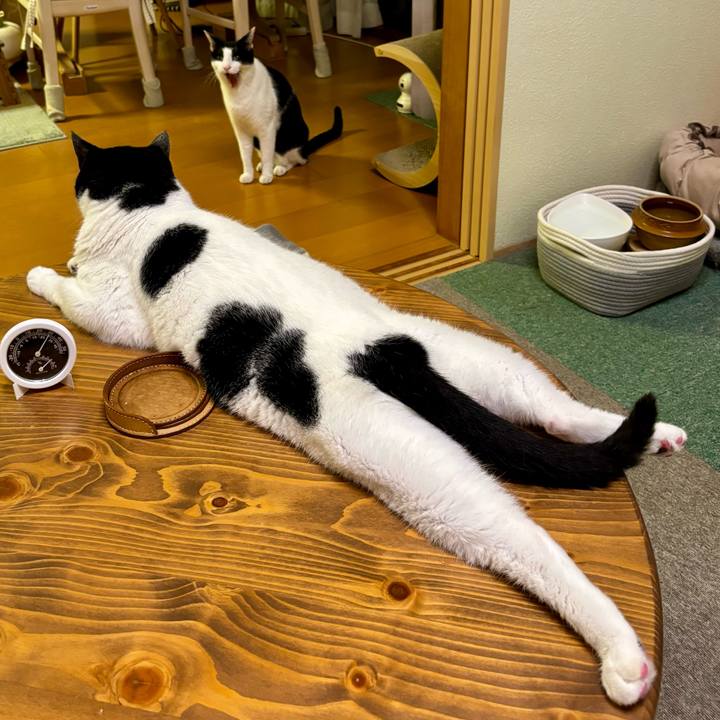 21602a8b af05 4de2 9de6 79e2e2013833 1757719603879