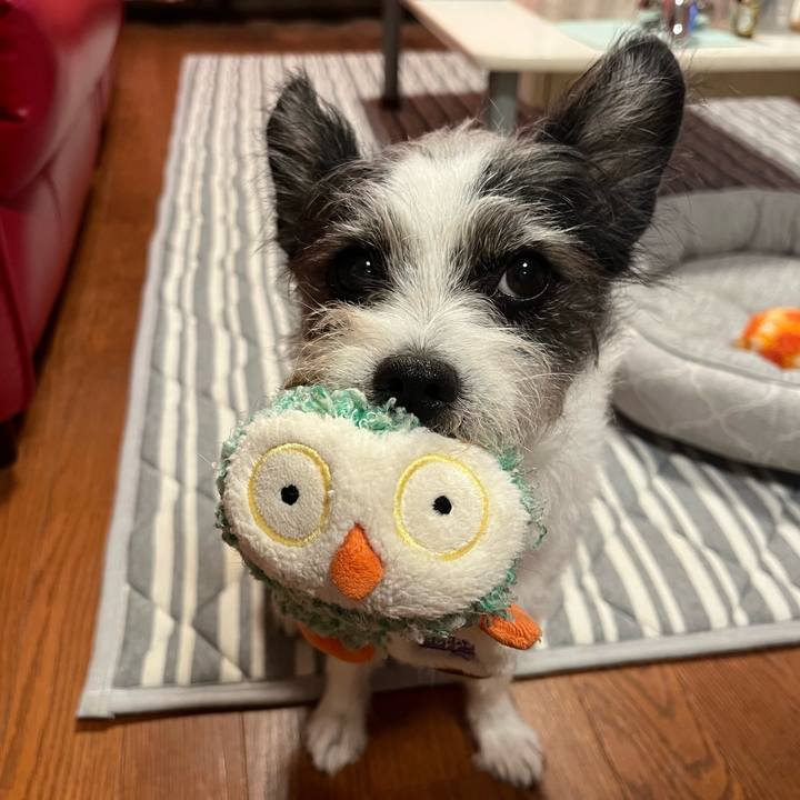 21602acc 4c9e 4560 bd0a cfe666eac0b3 1757596510852