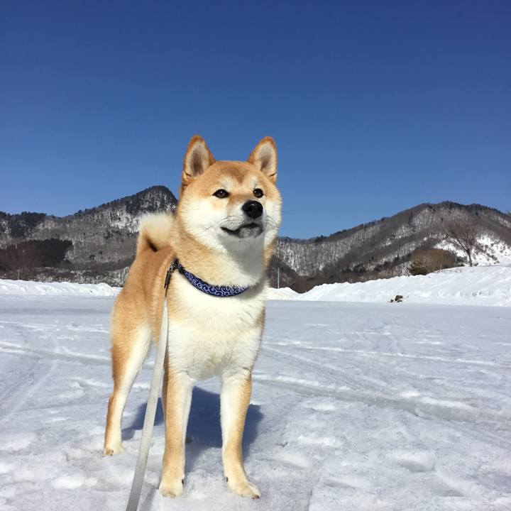 21605360 133f 4a40 ab7e 16e31ce8997d 1640839956931