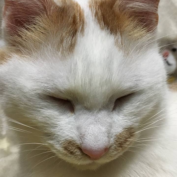 2160548a 1c86 4dae 957f 13bd43830ccb 1548574067713