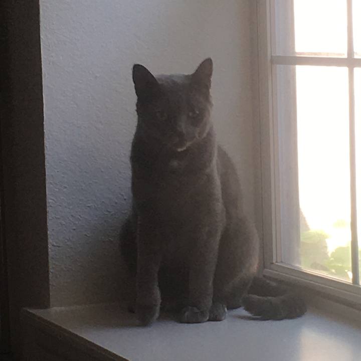 21605d91 54d9 45fa 982a 8ff1802e8b41 1657066729053