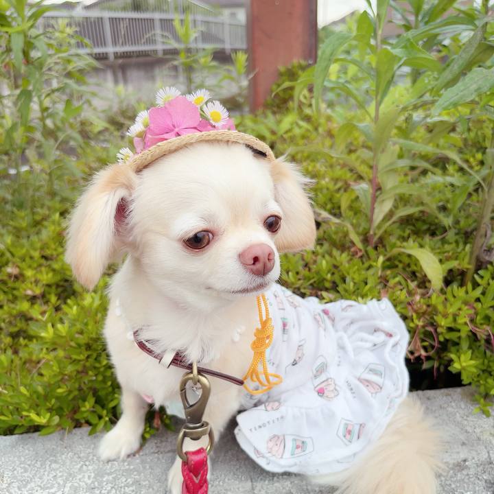 216081d0 89ea 4e58 9b92 f4f5b8d15b62 1686741912838