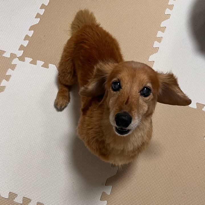 21608597 3e48 4683 a477 300ebc4e6db8 1648902560090