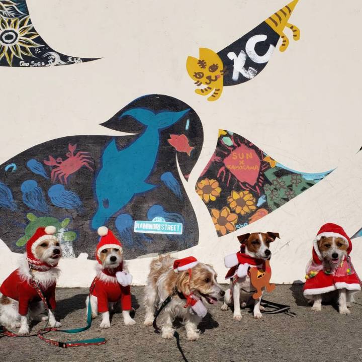 2160c7c8 0569 4646 8f16 6794d4528815 1735085054037