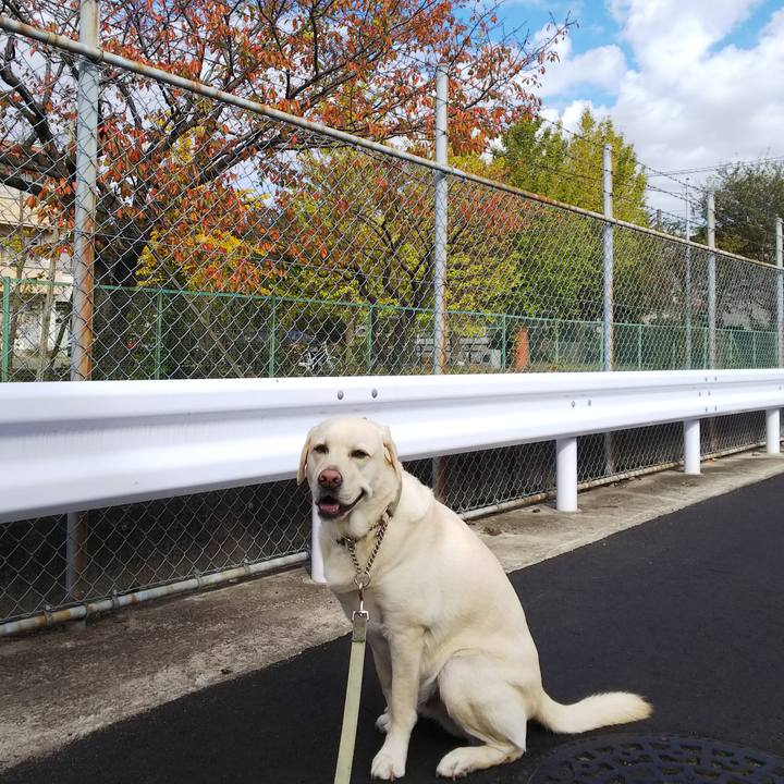 21614326 028a 4580 b0fe 08c54b5f32c7 1573783293011