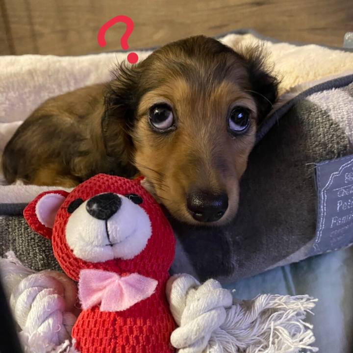 216179a2 30da 4c97 806f fb9b7eab34ce 1610057552328