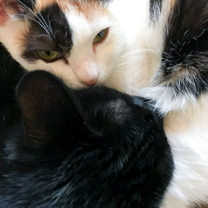 216190c6 aea0 4a08 b061 45a7435592be 1514246164586