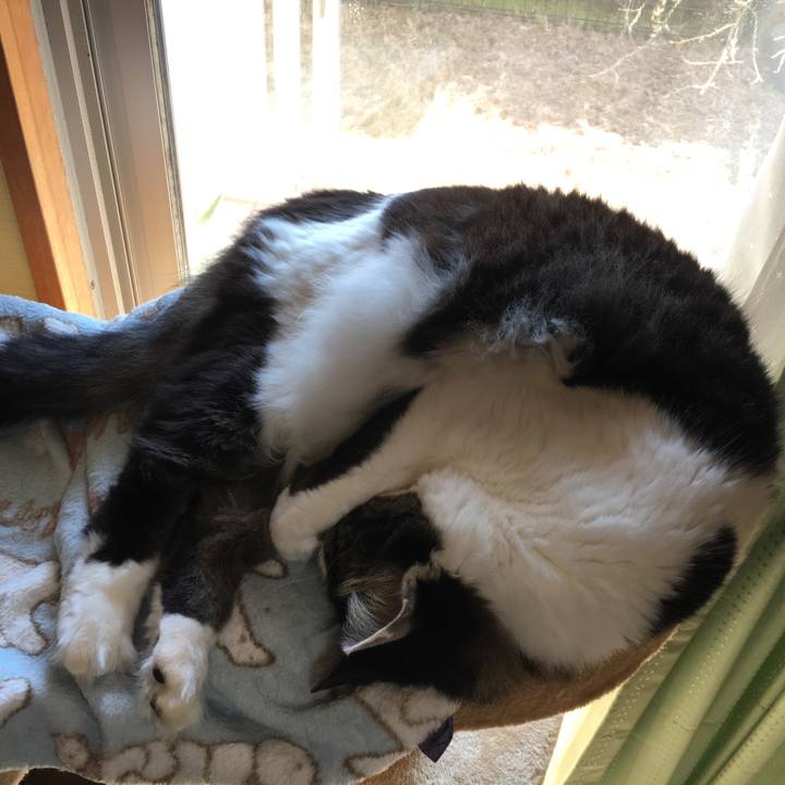 2162503d c96c 482a a06a ef98f11a8b99 1550459792960