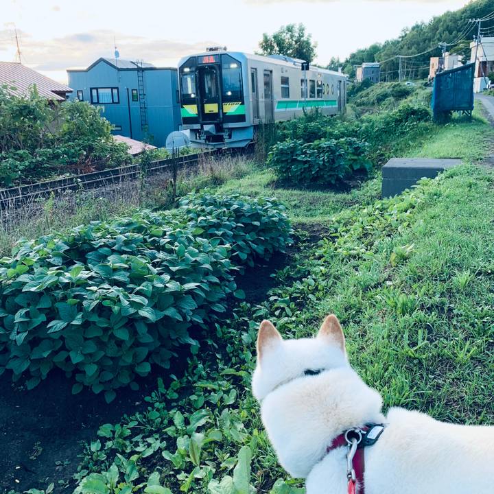 21625561 ce93 4a22 bdf9 e4a64e0a8434 1597523823309