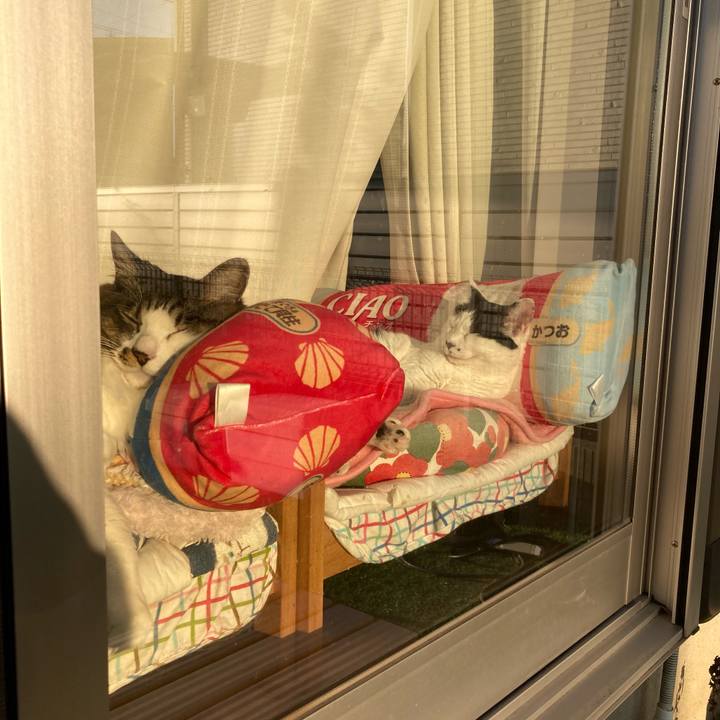 21626849 c3fd 423c bd7f 5b637f0ab458 1763188926110