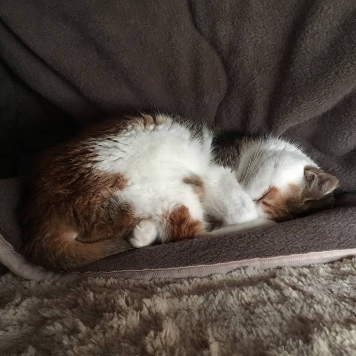 2162ebdf 6856 4b5b 9d39 80d55e013aba 1511755121421