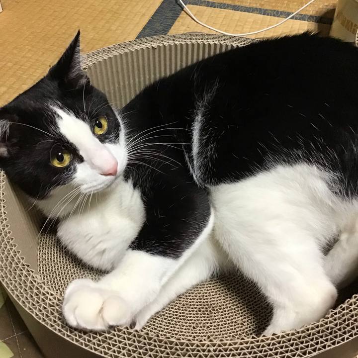 2163098c fcb5 4ead 9b38 d178a442f083 1697541878858