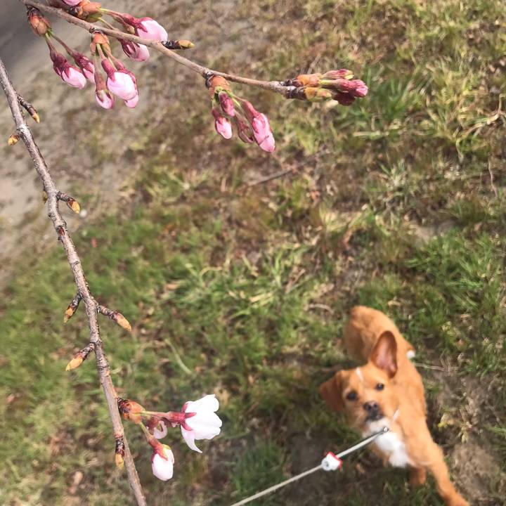 21635054 687d 4cb7 85d0 c10984a9ea68 1554685494868