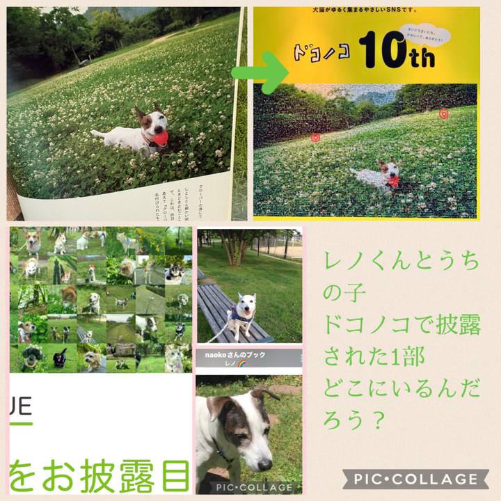 2163511e f4db 40d7 ae60 81f1e6a40d34 1780351729292