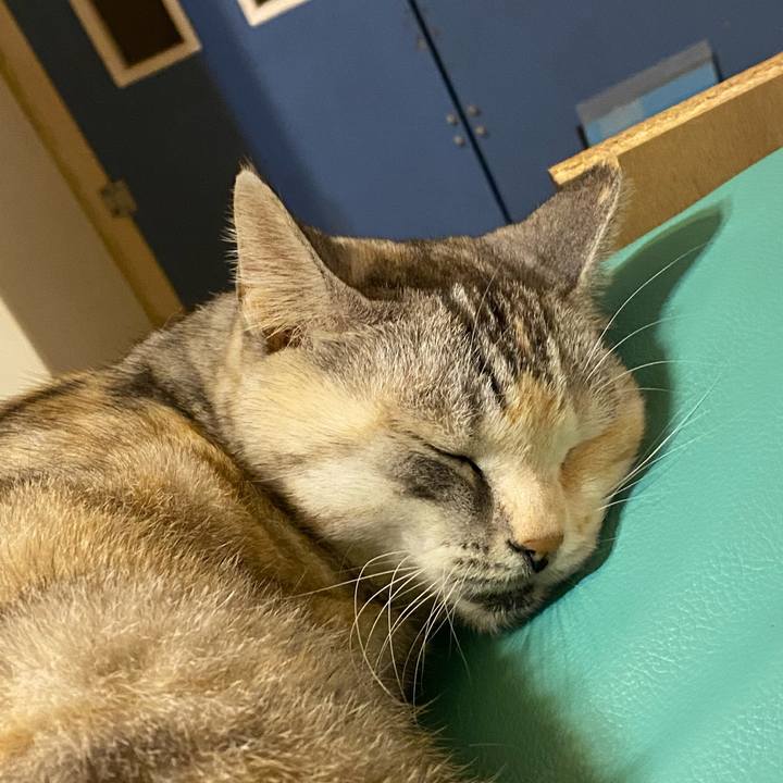 216365b7 c4fa 450b a4a3 aa0546469f4b 1637099144891