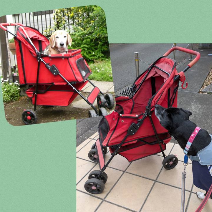 2163c8ed fc46 4eff 9d66 7f7970f490fa 1764553823866