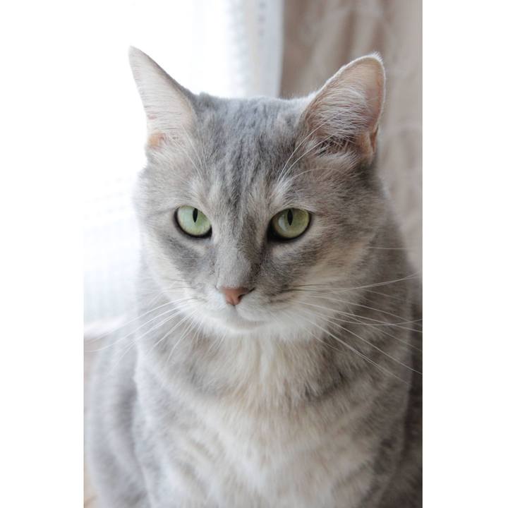 2163d309 24f9 4893 9ee6 c374678581a8 1626013902482