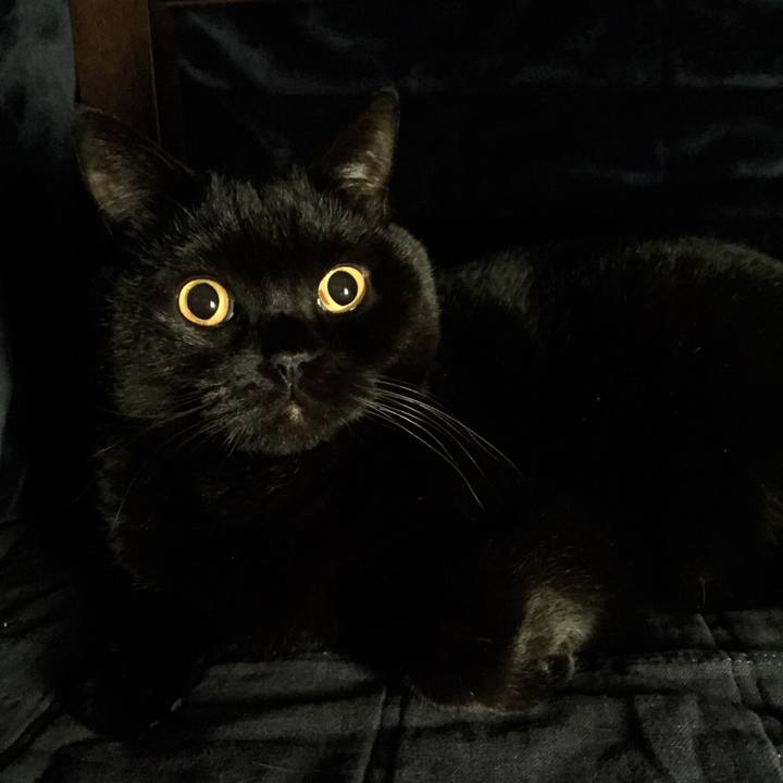 2163e4ce a790 4d85 93a7 6489bc45bf92 1575547903452