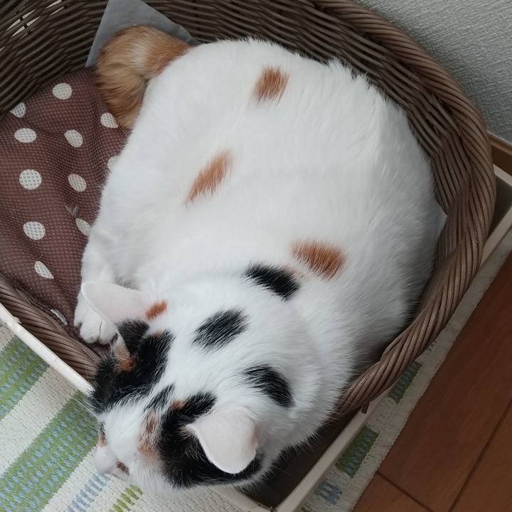 2163f8ee 8cf6 4c84 a1f6 4c9d48ecc425 1653520179681