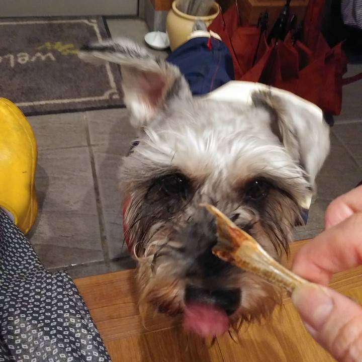 2163f99d 2ffc 4f70 9721 ec3dc64e9983 1625221975798