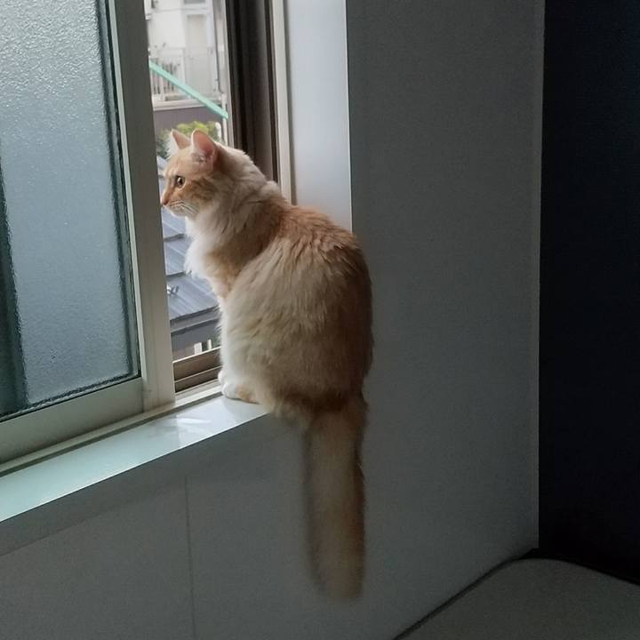 21642331 1052 4099 b8b7 58d5e3501e5d 1627595797287