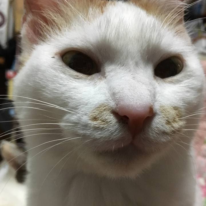 2164379d f96a 4478 8dc6 66293baae24a 1524577209926