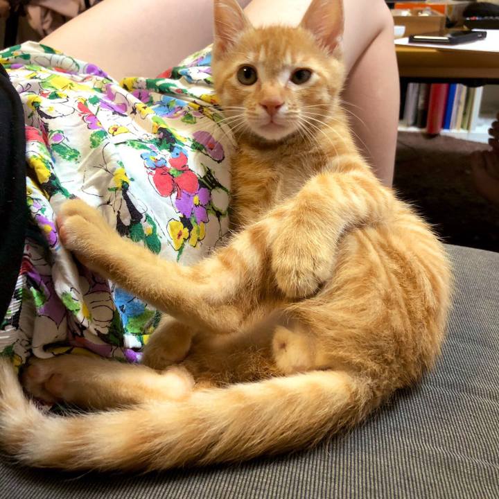 2164c03a 7db4 41b6 9e43 fbe5b030c541 1565147454114