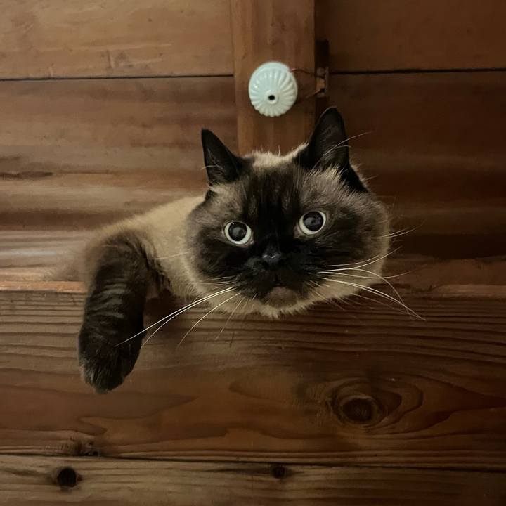 2164cbe1 8371 4444 adfd 1f464fe2f594 1753443899207