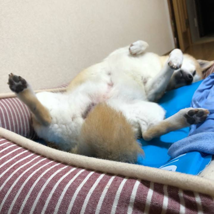 21651f8a a39c 48f8 9091 093fab3ccf33 1593946220566